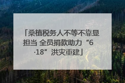 桑植税务人不等不靠显担当 全员捐款助力“6·18”洪灾重建