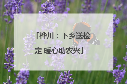 桦川：下乡送检定 暖心助农兴