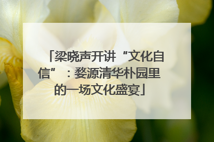 梁晓声开讲“文化自信”：婺源清华朴园里的一场文化盛宴