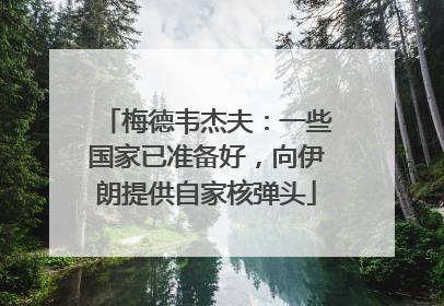 梅德韦杰夫：一些国家已准备好，向伊朗提供自家核弹头