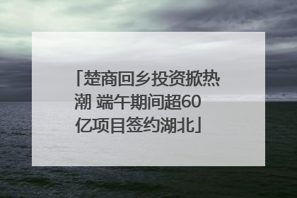 楚商回乡投资掀热潮 端午期间超60亿项目签约湖北