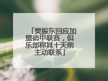 樊振东回应加盟德甲联赛，俱乐部称其十天前主动联系