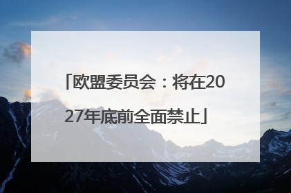 欧盟委员会：将在2027年底前全面禁止