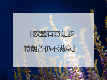 欧盟有意让步 特朗普仍不满意