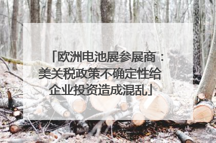 欧洲电池展参展商：美关税政策不确定性给企业投资造成混乱