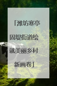 潍坊寒亭固堤街道绘就美丽乡村新画卷