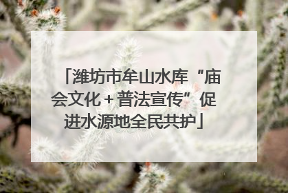 潍坊市牟山水库“庙会文化＋普法宣传”促进水源地全民共护