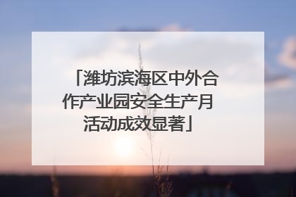 潍坊滨海区中外合作产业园安全生产月活动成效显著