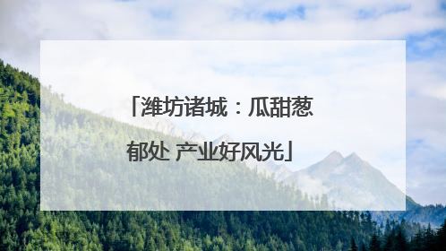 潍坊诸城：瓜甜葱郁处 产业好风光