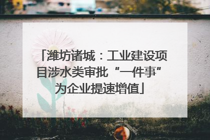 潍坊诸城：工业建设项目涉水类审批“一件事” 为企业提速增值