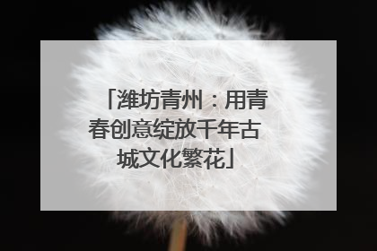 潍坊青州：用青春创意绽放千年古城文化繁花