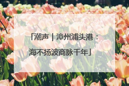 潮声｜漳州浦头港：海不扬波商脉千年