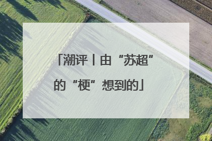 潮评丨由“苏超”的“梗”想到的