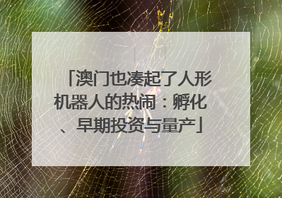 澳门也凑起了人形机器人的热闹：孵化、早期投资与量产