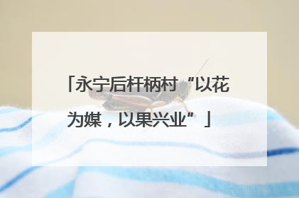 永宁后杆柄村“以花为媒，以果兴业”