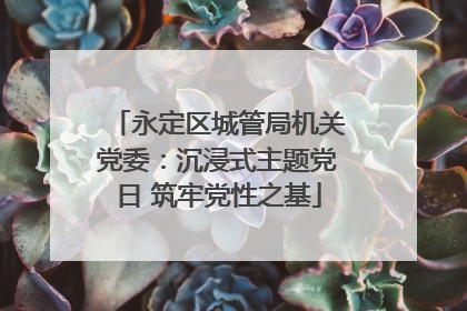 永定区城管局机关党委：沉浸式主题党日 筑牢党性之基