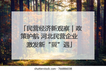 民营经济新观察｜政策护航 河北民营企业激发新“冀”遇