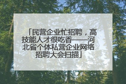 民营企业忙招聘，高技能人才很吃香——河北省个体私营企业网络招聘大会扫描