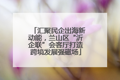 汇聚民企出海新动能，兰山区“沂企联”会客厅打造跨境发展强磁场