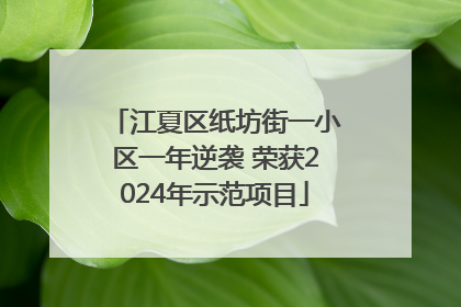 江夏区纸坊街一小区一年逆袭 荣获2024年示范项目