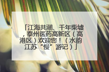 江海共潮、千年柴墟，泰州医药高新区（高港区）欢迎您！（水韵江苏“慢”游记）