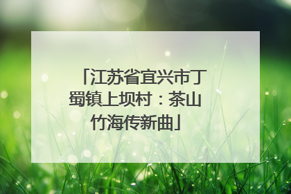 江苏省宜兴市丁蜀镇上坝村：茶山竹海传新曲