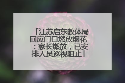 江苏启东教体局回应门口燃放烟花：家长燃放，已安排人员巡视阻止