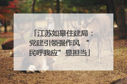江苏如皋住建局：党建引领强作风 “民呼我应”显担当