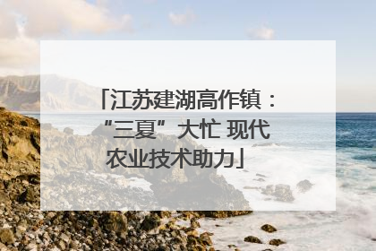 江苏建湖高作镇：“三夏”大忙 现代农业技术助力