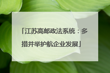 江苏高邮政法系统：多措并举护航企业发展