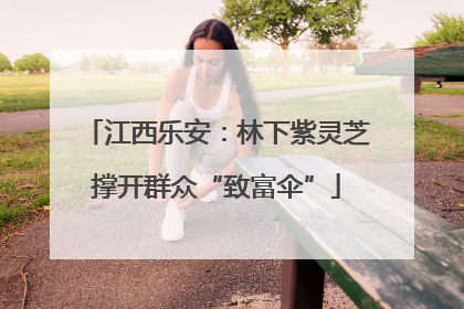 江西乐安：林下紫灵芝撑开群众“致富伞”