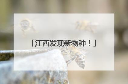 江西发现新物种！