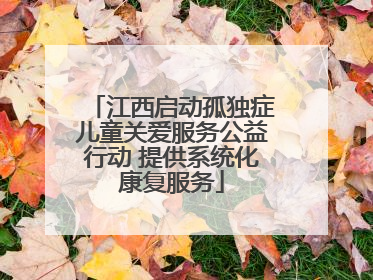 江西启动孤独症儿童关爱服务公益行动 提供系统化康复服务