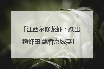 江西永修龙虾：跃出稻虾田 飘香京城宴