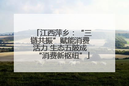 江西萍乡：“三链共振”赋能消费活力 生态五陂成“消费新枢纽”