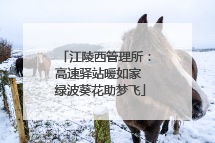 江陵西管理所：高速驿站暖如家 绿波葵花助梦飞