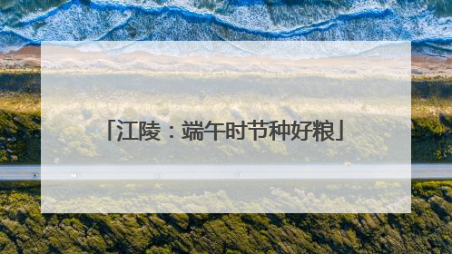 江陵：端午时节种好粮