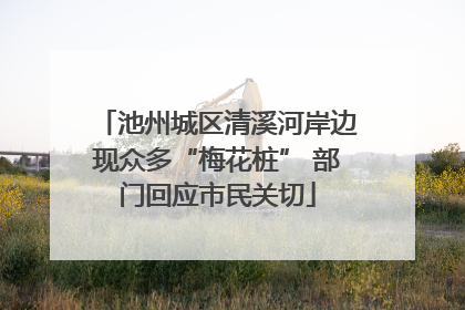 池州城区清溪河岸边现众多“梅花桩” 部门回应市民关切