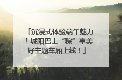 沉浸式体验端午魅力！城阳巴士“粽”享美好主题车厢上线！