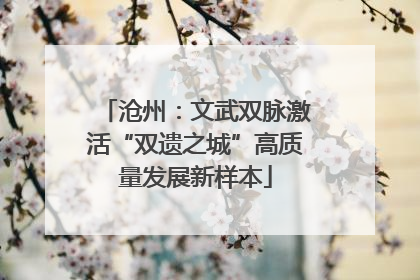 沧州：文武双脉激活“双遗之城”高质量发展新样本