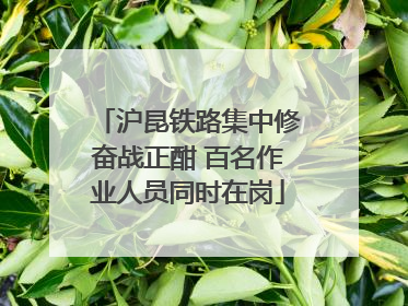 沪昆铁路集中修奋战正酣 百名作业人员同时在岗