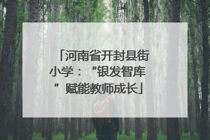 河南省开封县街小学：“银发智库”赋能教师成长