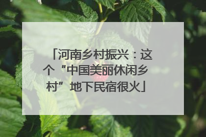 河南乡村振兴：这个“中国美丽休闲乡村”地下民宿很火