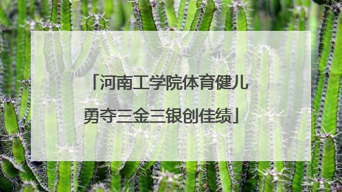 河南工学院体育健儿勇夺三金三银创佳绩