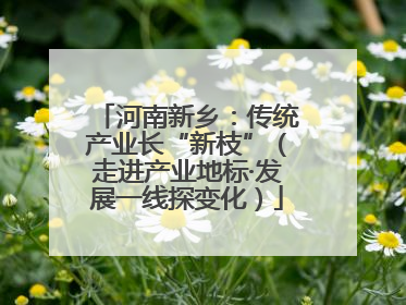 河南新乡：传统产业长“新枝”（走进产业地标·发展一线探变化）