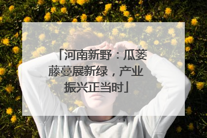河南新野：瓜蒌藤蔓展新绿，产业振兴正当时