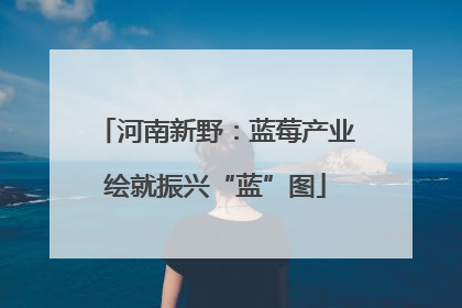 河南新野：蓝莓产业绘就振兴“蓝”图
