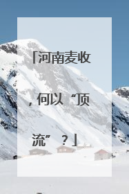 河南麦收，何以“顶流”？