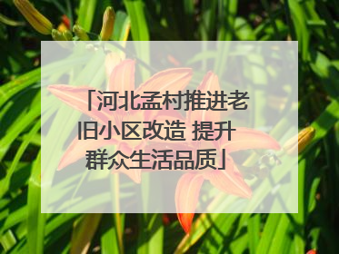 河北孟村推进老旧小区改造 提升群众生活品质