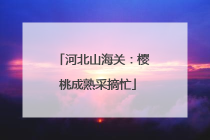河北山海关：樱桃成熟采摘忙